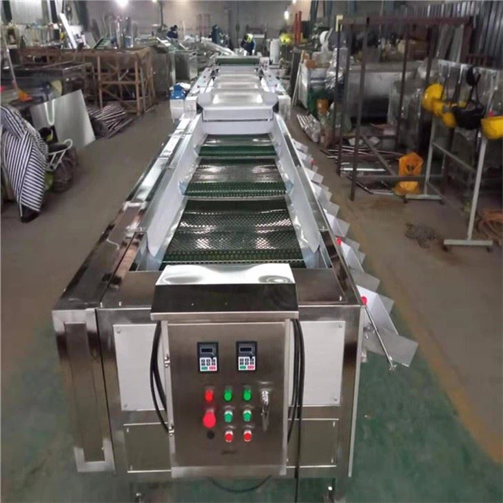 Kumquat Sorting Machine
