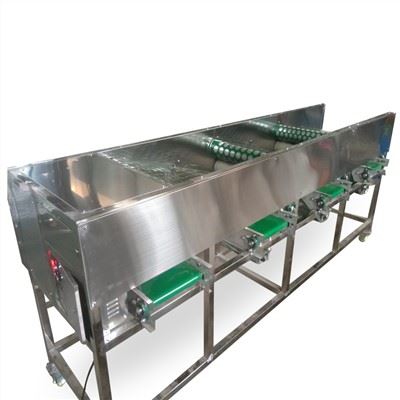 Macchina per la classificazione delle cipolle