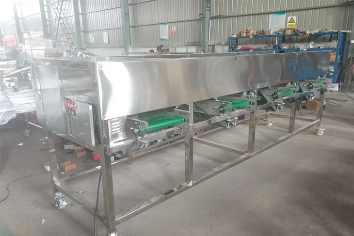garlic sorter 5