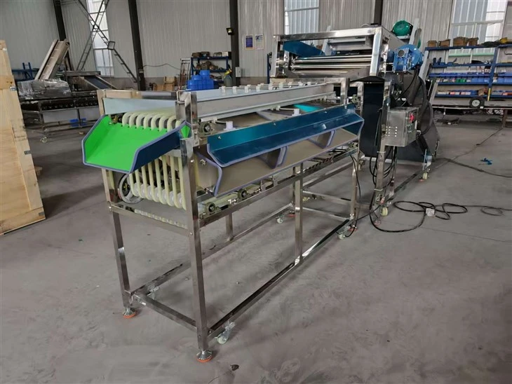 Multifunctional Pathway Fruit Size Grading Machine