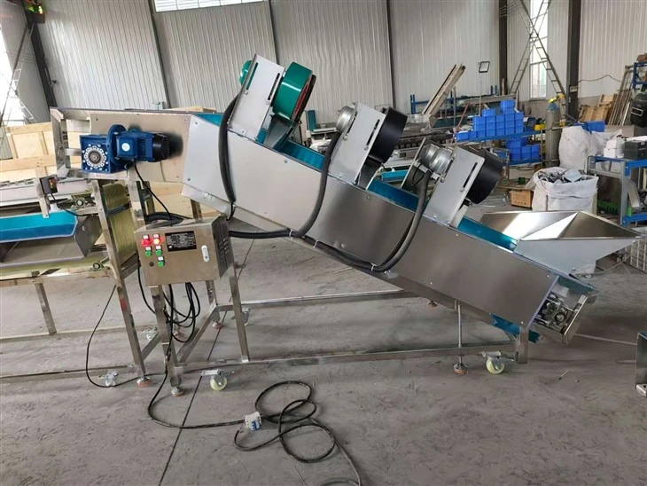 Multifunctional Pathway Fruit Size Grading Machine
