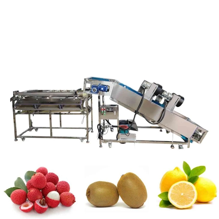 Macchina di classificazione delle dimensioni della frutta percorso multifunzionale