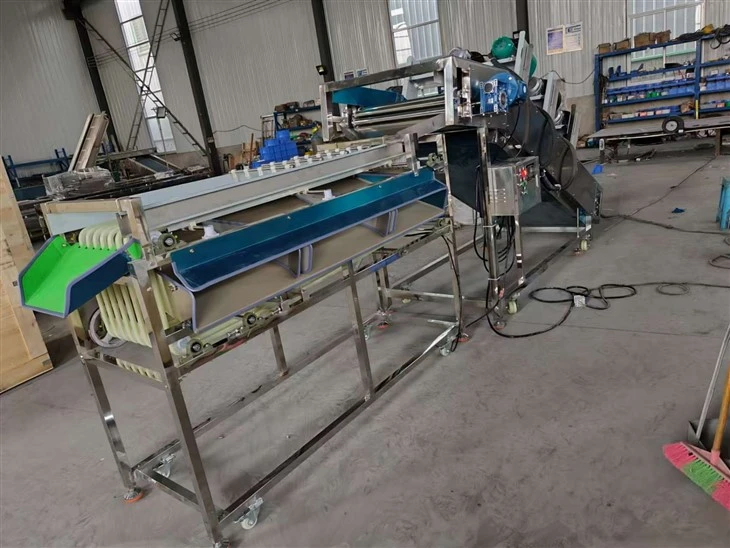 Multifunctional Pathway Fruit Size Grading Machine