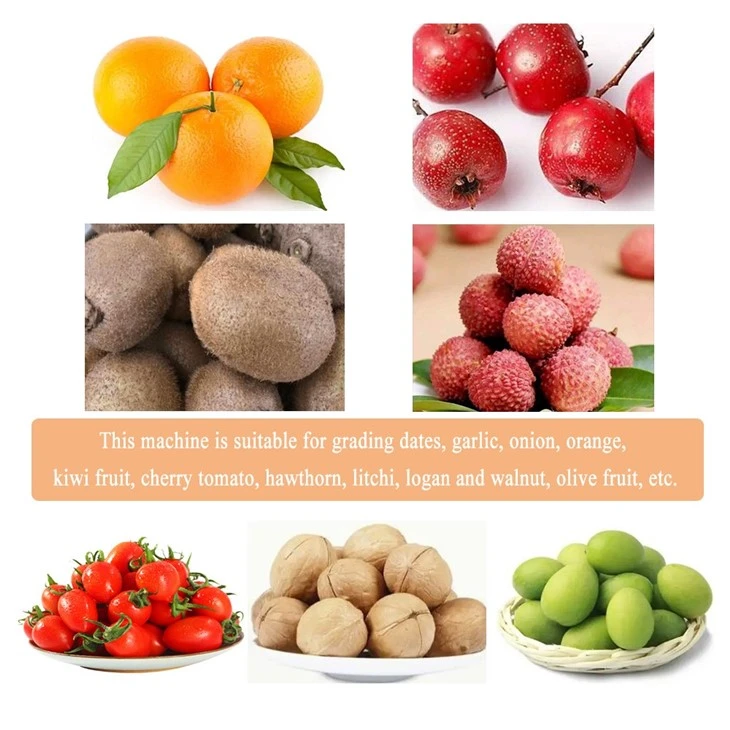 Pathway Fruit Size Grading Machine