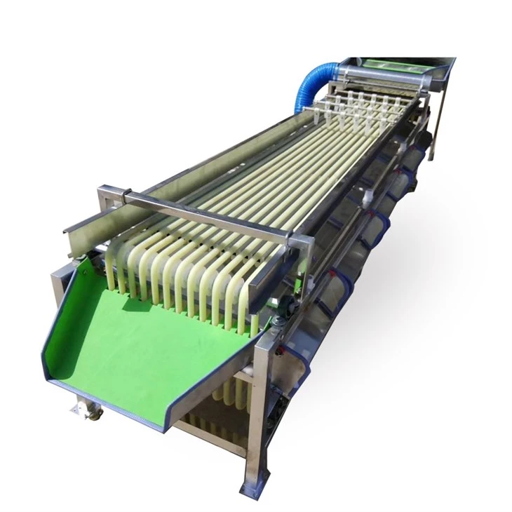 Pathway Fruit Size Grading Machine