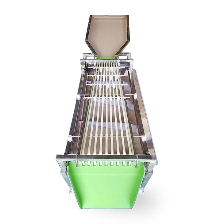 Pathway Fruit Size Grading Machine