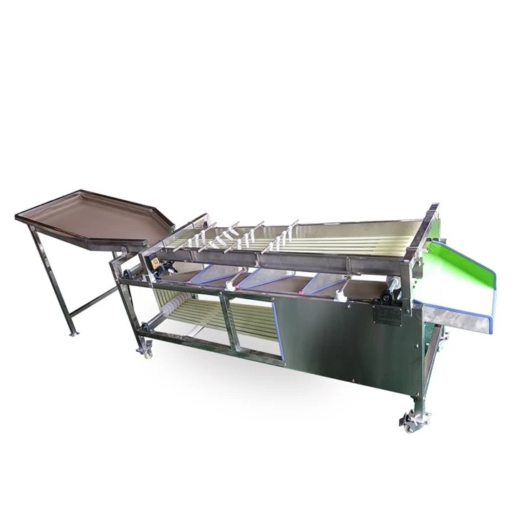 Pathway Fruit Size Grading Machine