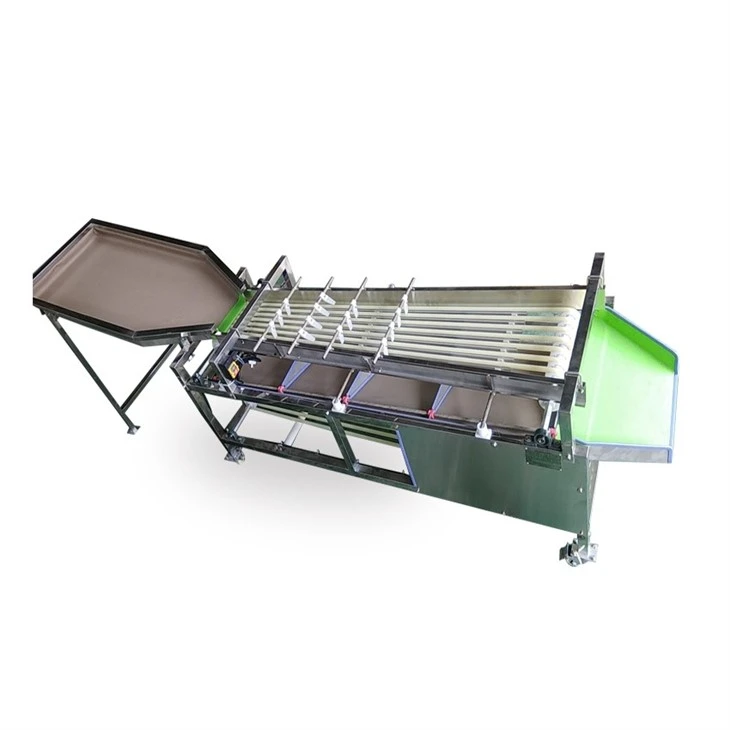 Pathway Fruit Size Grading Machine