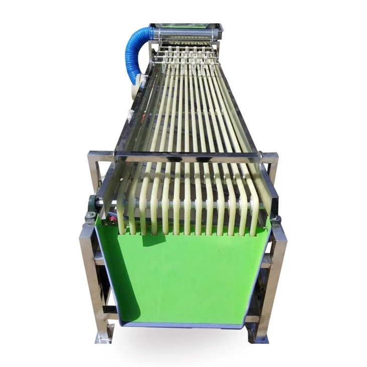 Pathway Fruit Size Grading Machine