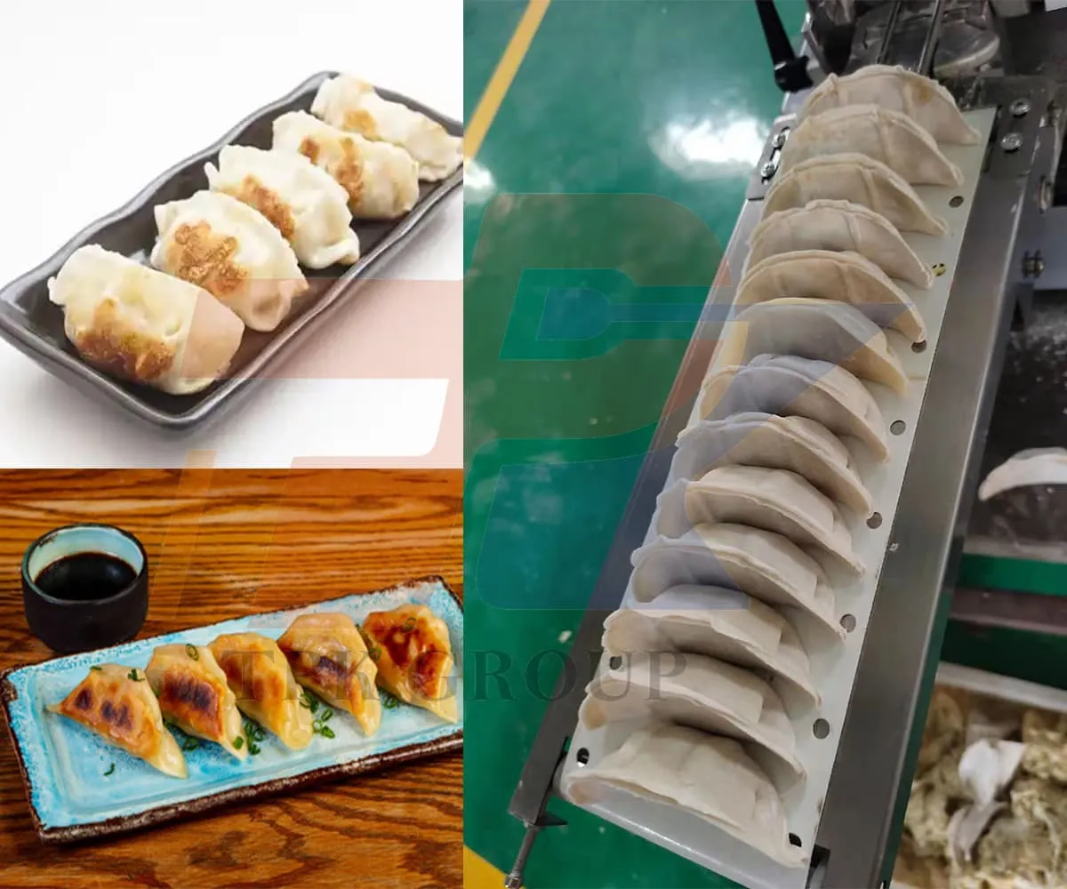 Commercial Dumpling Making Machine Commercial Dumpling Making Machine